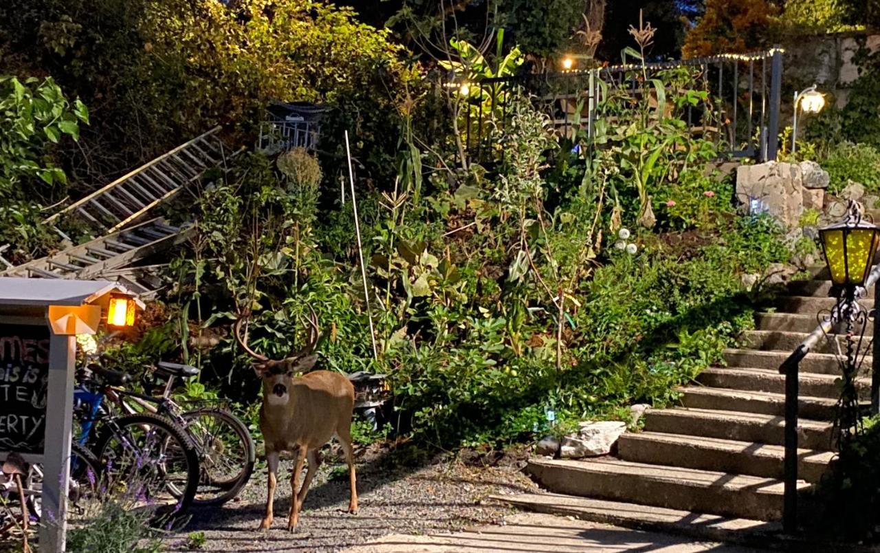 Hudson Homes Bnb Saanich Zewnętrze zdjęcie